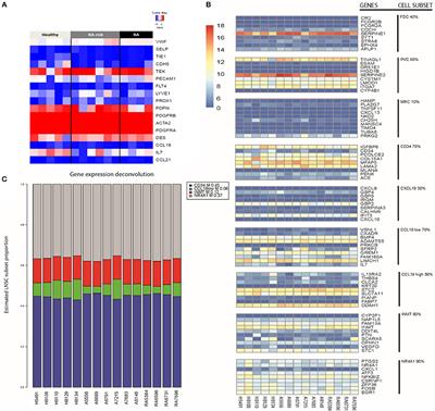 Molecular Characterization of Human Lymph Node Stromal Cells During the Earliest Phases of Rheumatoid Arthritis